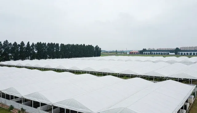 医药网站建设服务价格,适用条件如何界定